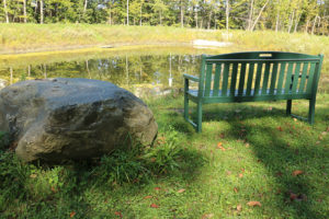 The pond at Morgan Orchards, a quiet place to sit and be surrounded by nature.