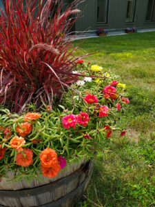 The work of the Garden Group brings color both inside and out.