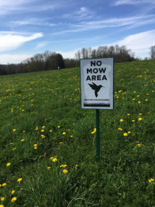 The “no-mow” bird sanctuary provides nearly 1/2 an acre of safe space to birds to nest.