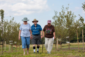 Residents walking through the orchard